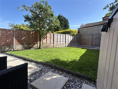 Picture 16